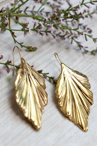 Curved leaf earrings (Gold)