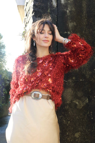 Sequin and feather detail top (Rust)